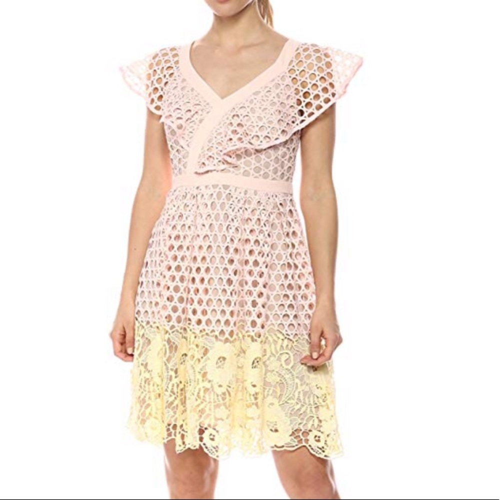 Donna Morgan Novelty Lace Fit and Flare Dress